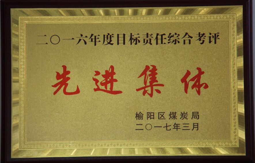 2016年度目標責(zé)任綜合考評先進集體